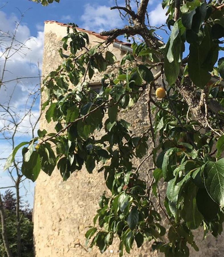 L'insolite Et Medievale Tour Yselda Saint-Pourçain-sur-Sioule